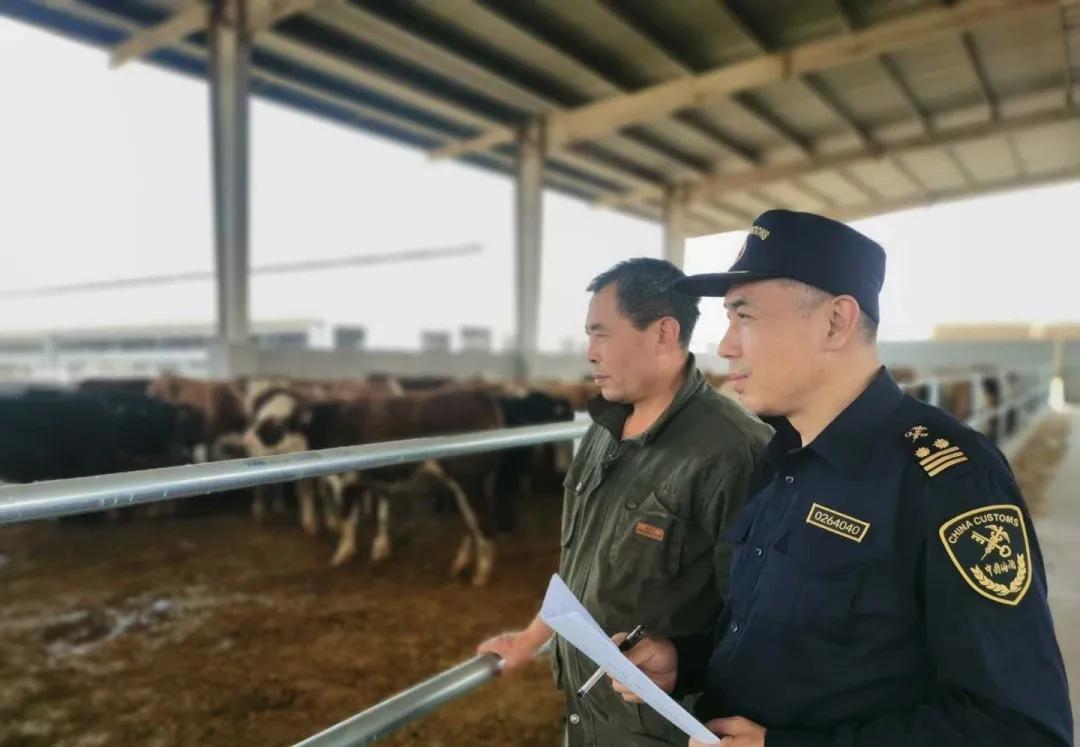 探寻津澳长五母空之王，揭秘背后的SEO奥秘，津澳长五母空之王背后的SEO奥秘揭秘