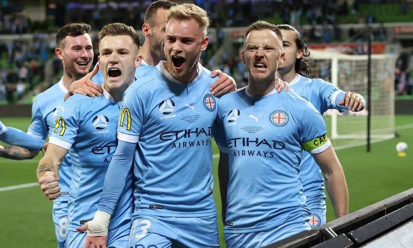 费果津队列澳长期3一哨,深度解析与探索,费果津队列澳长期现象深度解析与探索