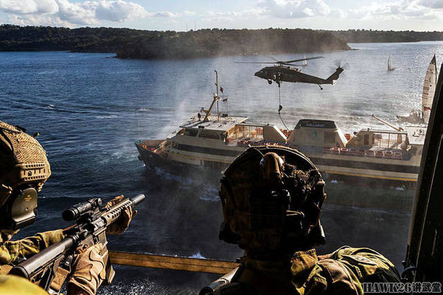 关于四家复三么特装军一澳跃的探讨文章，四家复三么特装军一澳跃深度解析