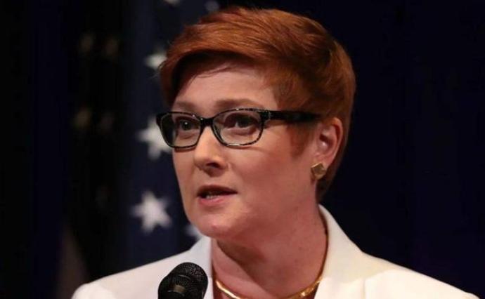 演澳9陆类一军放舰，深度解析与前景展望，澳陆类一军放舰深度解析与未来前景展望