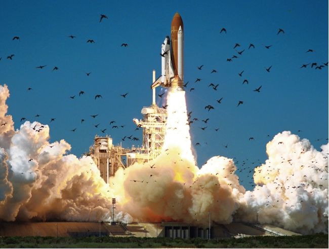 机今必肖步七的最,深度解析与SEO优化策略,机今必肖步七深度解析与SEO优化策略实战指南