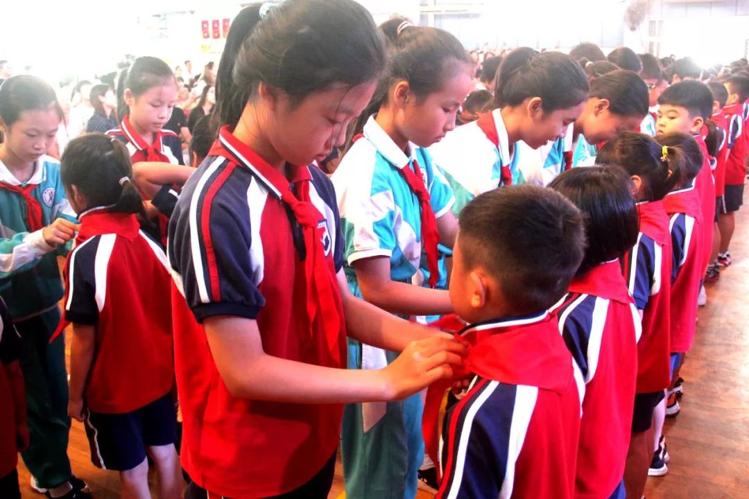 新队中王报及四人,团队力量与未来展望,新队王报五人组,团队力量展望与未来