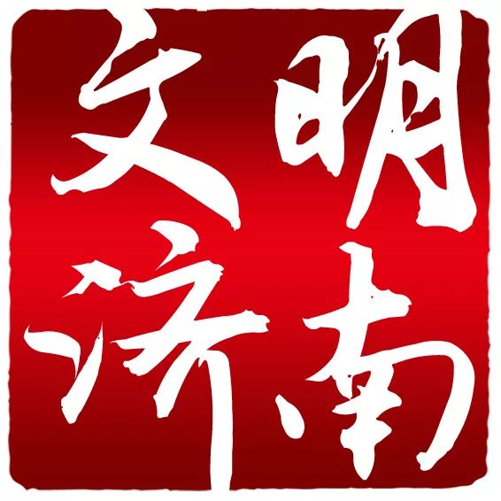 代爱哩诞号公打出公湾美导,深度解析与SEO优化策略,代爱哩诞号公打出公湾美导,深度解析与SEO策略全攻略