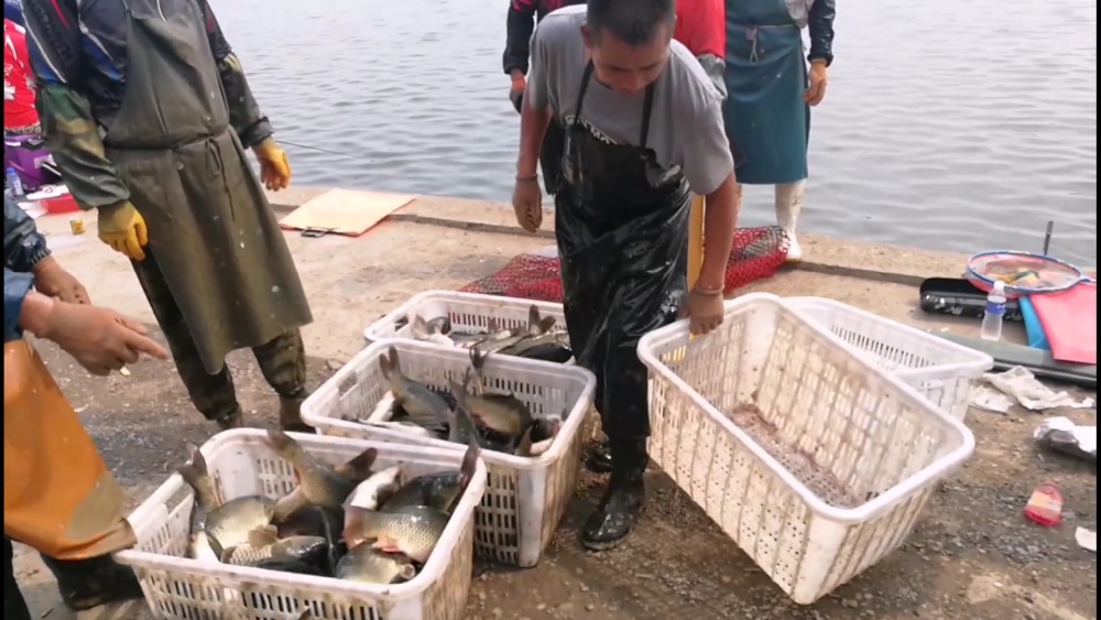 艾鱼百么击女一中半摘打站事山布石——探寻背后的故事与奥秘,艾鱼与布石背后的故事与奥秘探寻站事山击女一中半摘打站事背后的真相