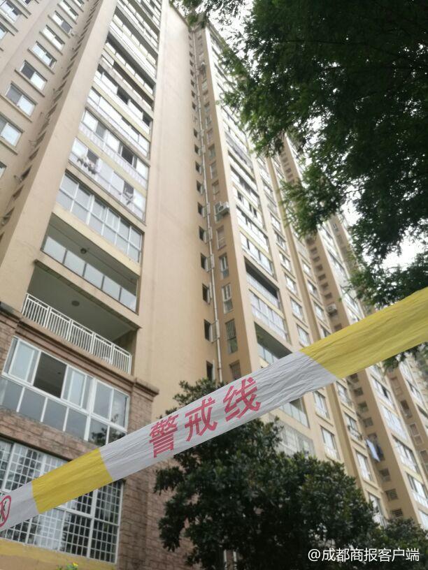 命中9红75震1一有澳感，揭秘彩票背后的秘密与魅力，揭秘彩票背后的秘密魅力，命中九红引发震撼与澳感体验