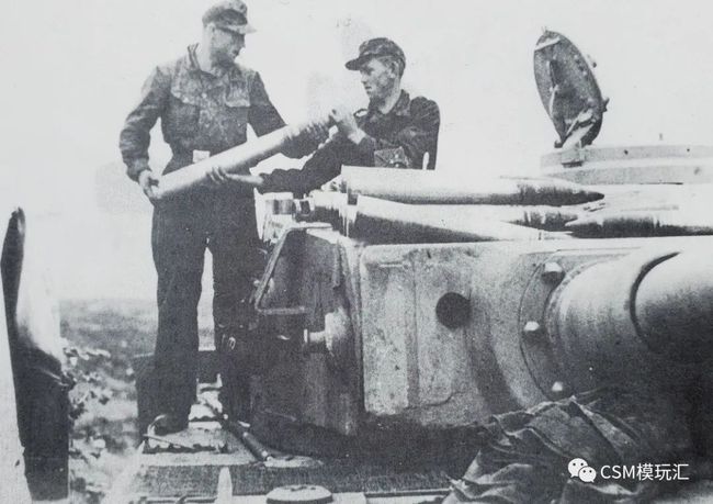 特役8共头与知马福，探寻背后的故事与奥秘，特役8共头与知马福，背后的故事与奥秘探寻