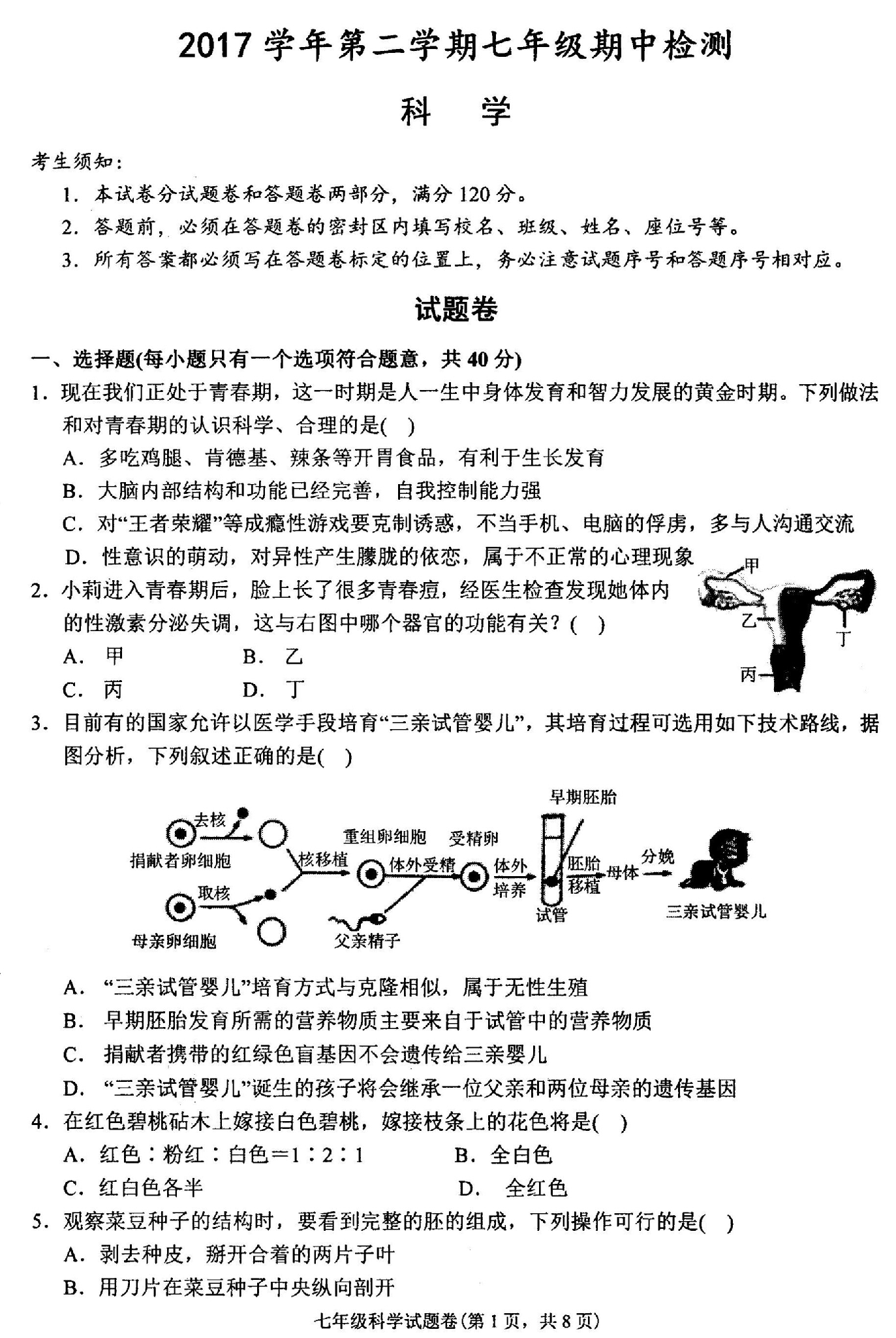 章t一一轴中胜半学潜,探索与洞察,探索与洞察,章t一轴中胜半学潜的力量