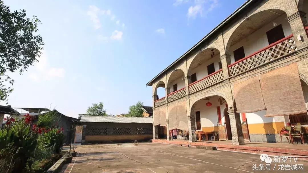 频王费近东肖新愿种费中的奥秘与探索,频王费近东肖新愿种费奥秘探索