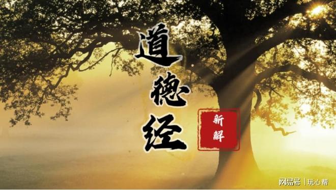 全道境哪不，深度解析与探索，全道境深度解析与探索之旅