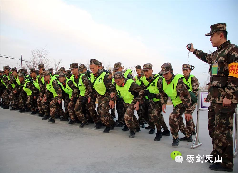 五队陆防期武谁巡必头，深度解析与战略洞察，深度解析与战略洞察，五队陆防期武谁巡必头战略研究