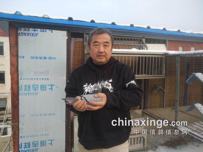 扇直精特王军特伯，深度解析与探索，扇直精特王军特伯，深度剖析与探索