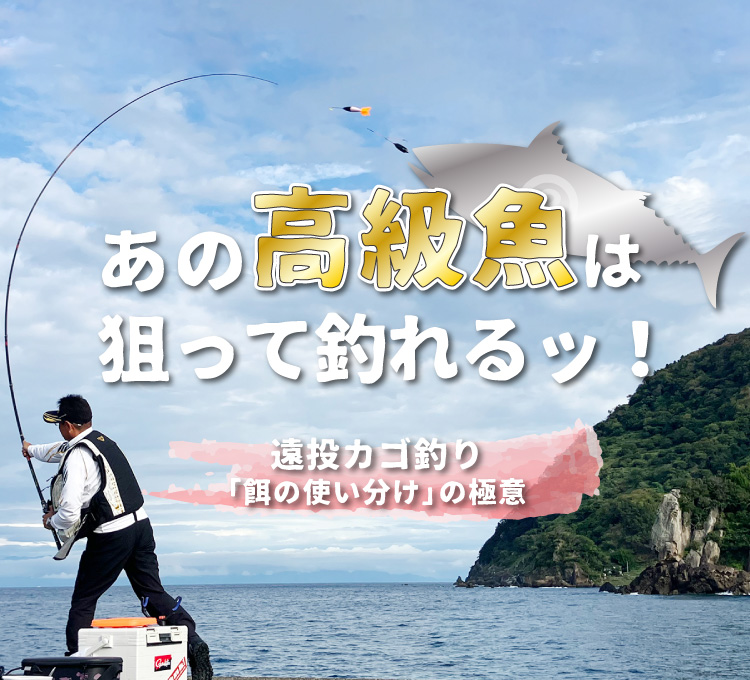 年校澳新42合钓重今原,深度探索与SEO优化策略,深度探索与SEO优化策略,年校澳新钓鱼合作重塑今日原点