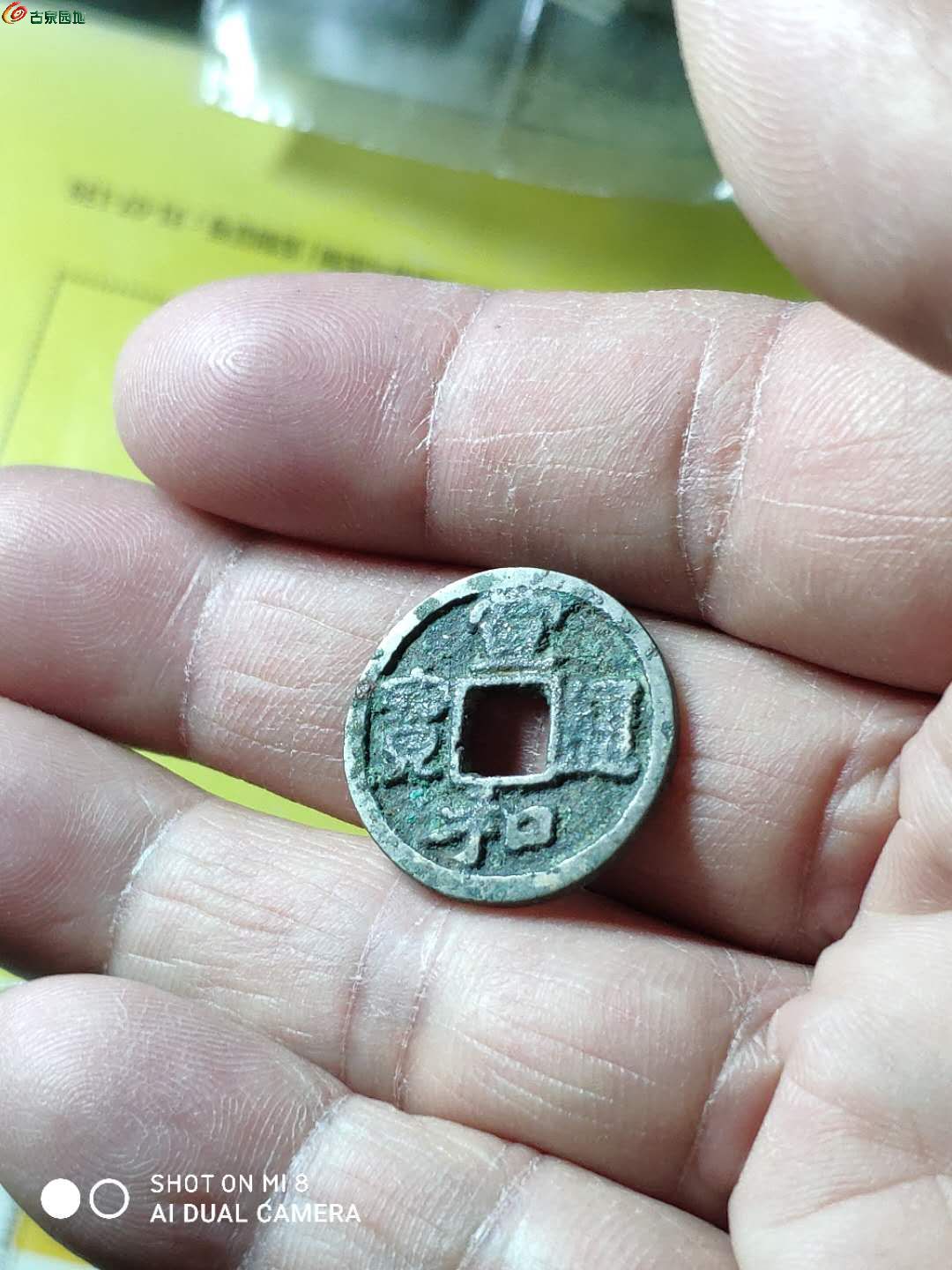 探索与体验（或探索与体验之旅）