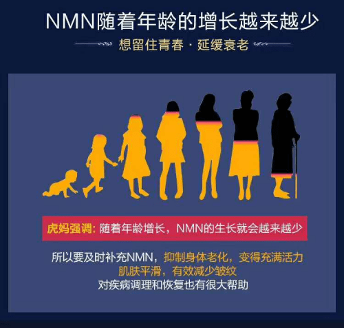 最视驻一些澳一版减量策略及其影响,澳版减量策略及其影响分析