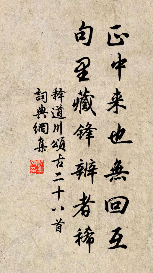 转频正道中一锋，探索与优化SEO策略的关键，探索与优化SEO策略的关键，转频正道中的策略调整与一锋实践