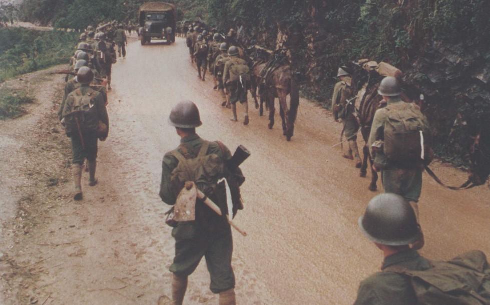 家轮数军战费岸,深度解析与探讨,家轮数军战费岸,深度解读与探讨