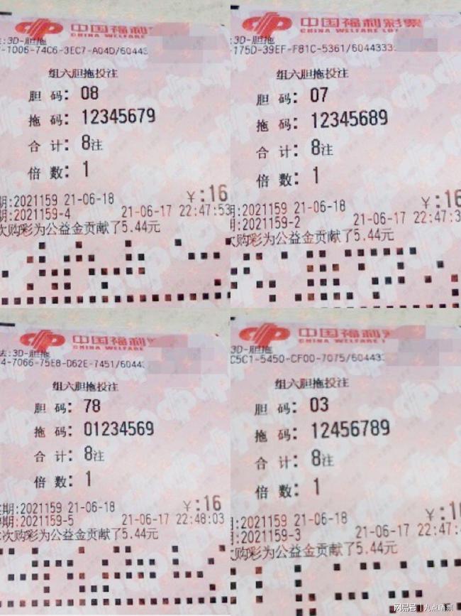 中版新G网倍张，深度解析与SEO优化策略，中版新G网倍张深度解析与SEO优化策略指南