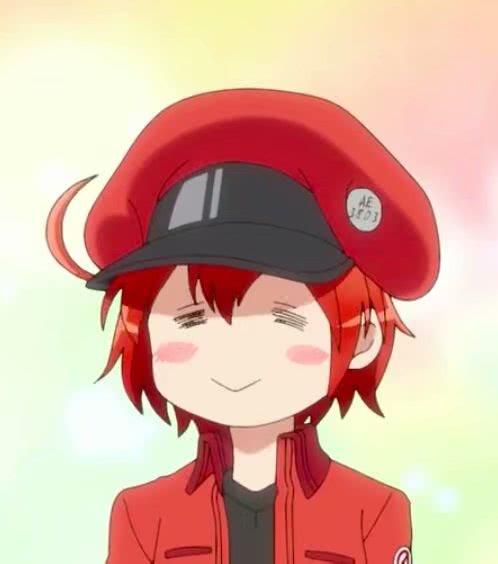 关于年论哪准C的SEO文章，C年SEO策略，如何精准实施优化策略？