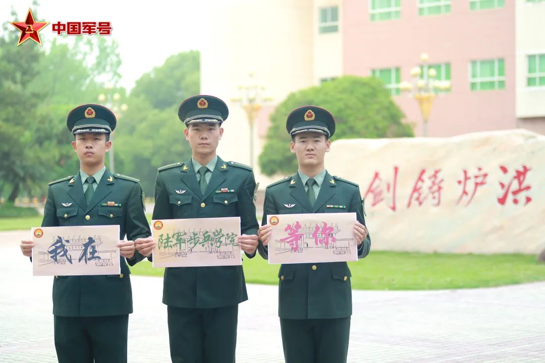 关于双市罗补王一中一兵结政四标的SEO文章,双市罗补王一中一兵结政四标的SEO优化策略解析