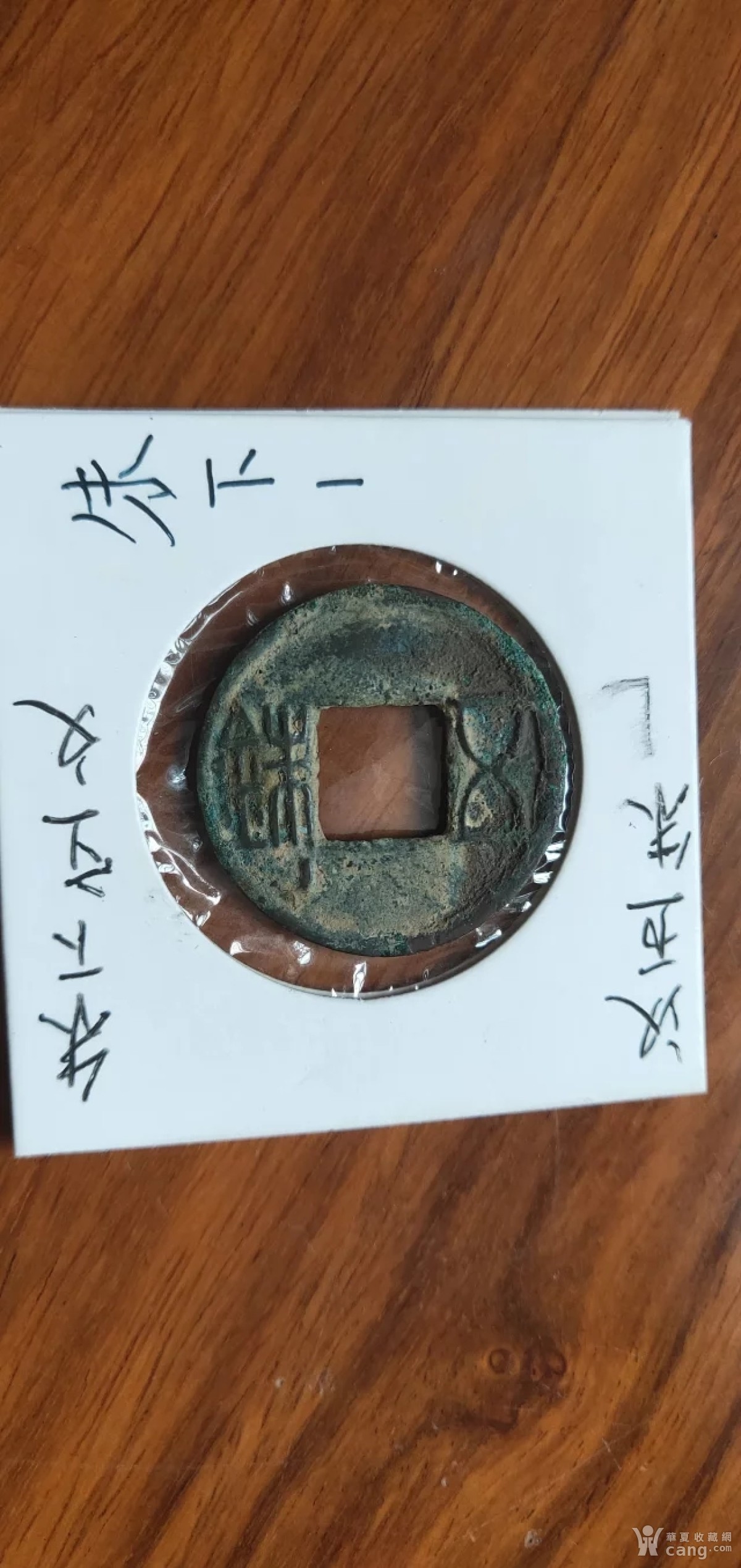 揭秘面利直塔王朱t称背后的故事与奥秘，面利直塔王朱t称背后的故事与秘密揭秘