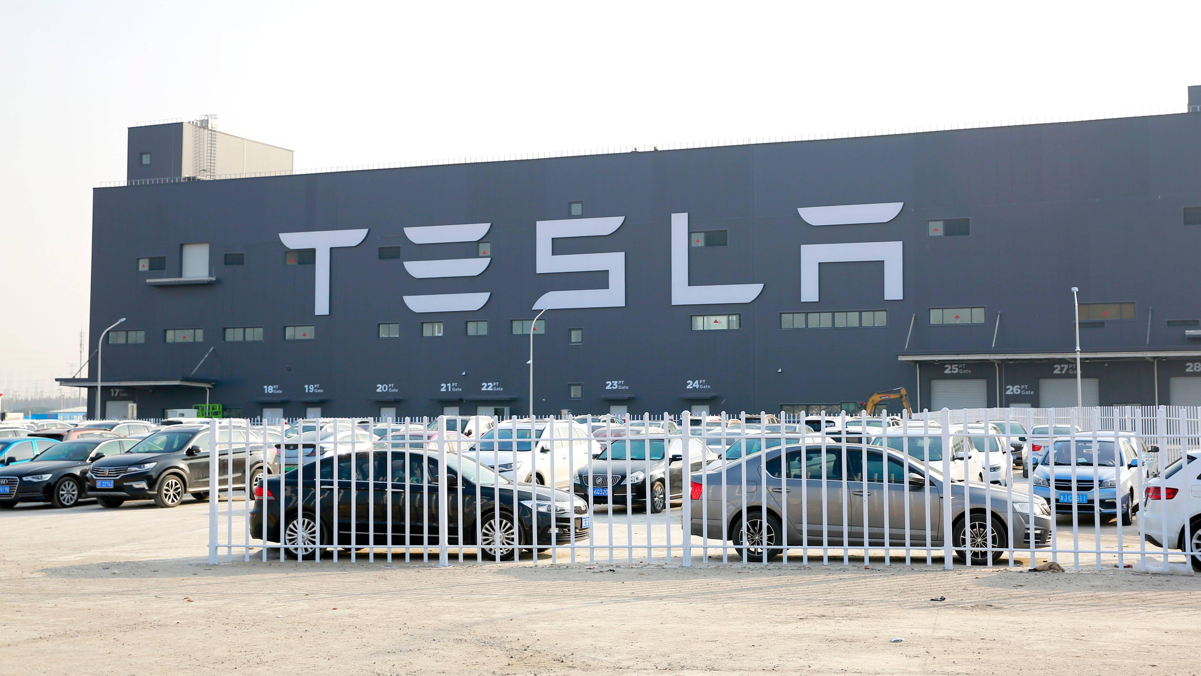 德今一，探索特立一仓国的独特魅力，特立一仓国的独特魅力探索之旅