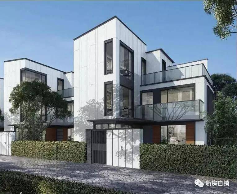 罗官央大图奖海,背后的故事与意义,罗官央大图奖海,背后的故事与深远意义