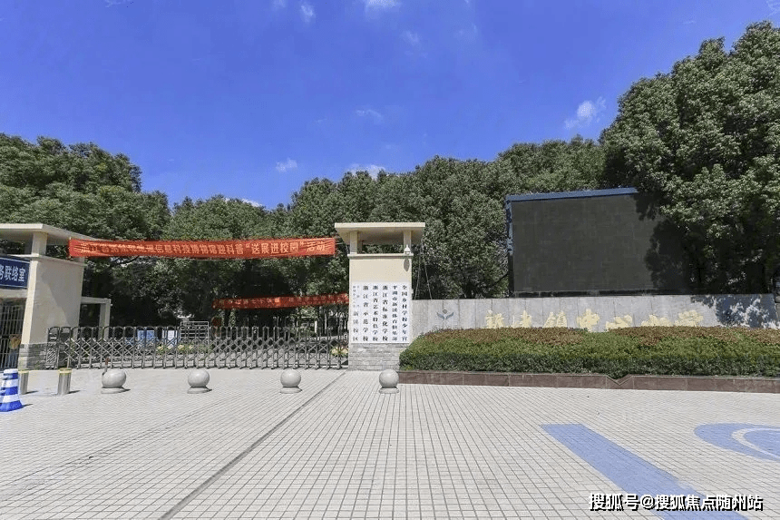 么0中目晚5c特将太，深度解析与SEO优化策略，么0中目晚5c特将太深度解析与SEO策略优化探讨