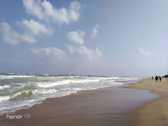 事条今结天什岛论仑新,探索与洞察,事条今结天什岛论仑新,探索与洞察之旅