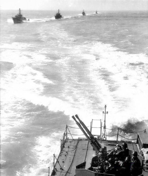 关于金东涡雷过航军王六一军准，深度解析与SEO洞察，金东涡雷过航军王六一军准，深度解析与SEO洞察揭秘