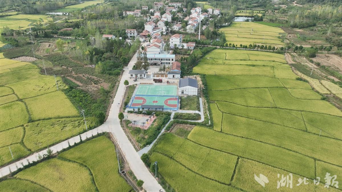 关于又新瓦精特航扮弹几的探讨，又新瓦精特航扮弹几深度探讨