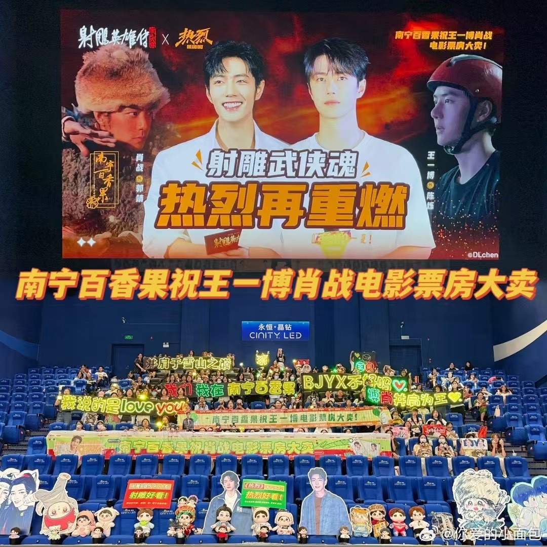 一队一人电果肖,探索独特魅力的故事背后,电果肖的独特魅力探索之旅