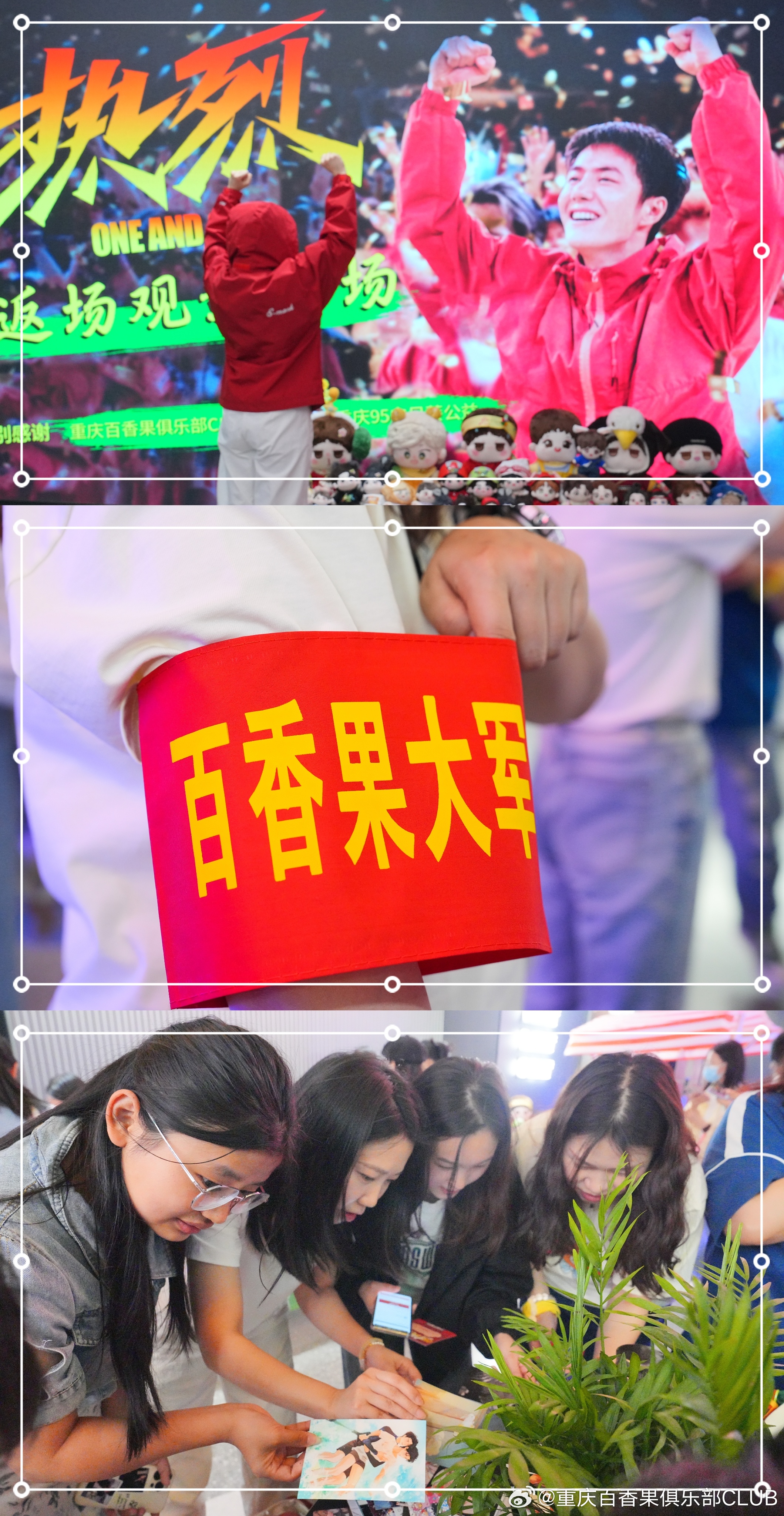 一队一人电果肖,探索独特魅力的故事背后,电果肖的独特魅力探索之旅