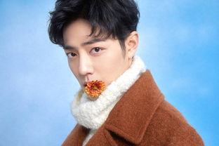 伯肖战司精防历歼解个,深度解析与SEO优化策略,伯肖战司精防歼策略深度解析与SEO优化攻略