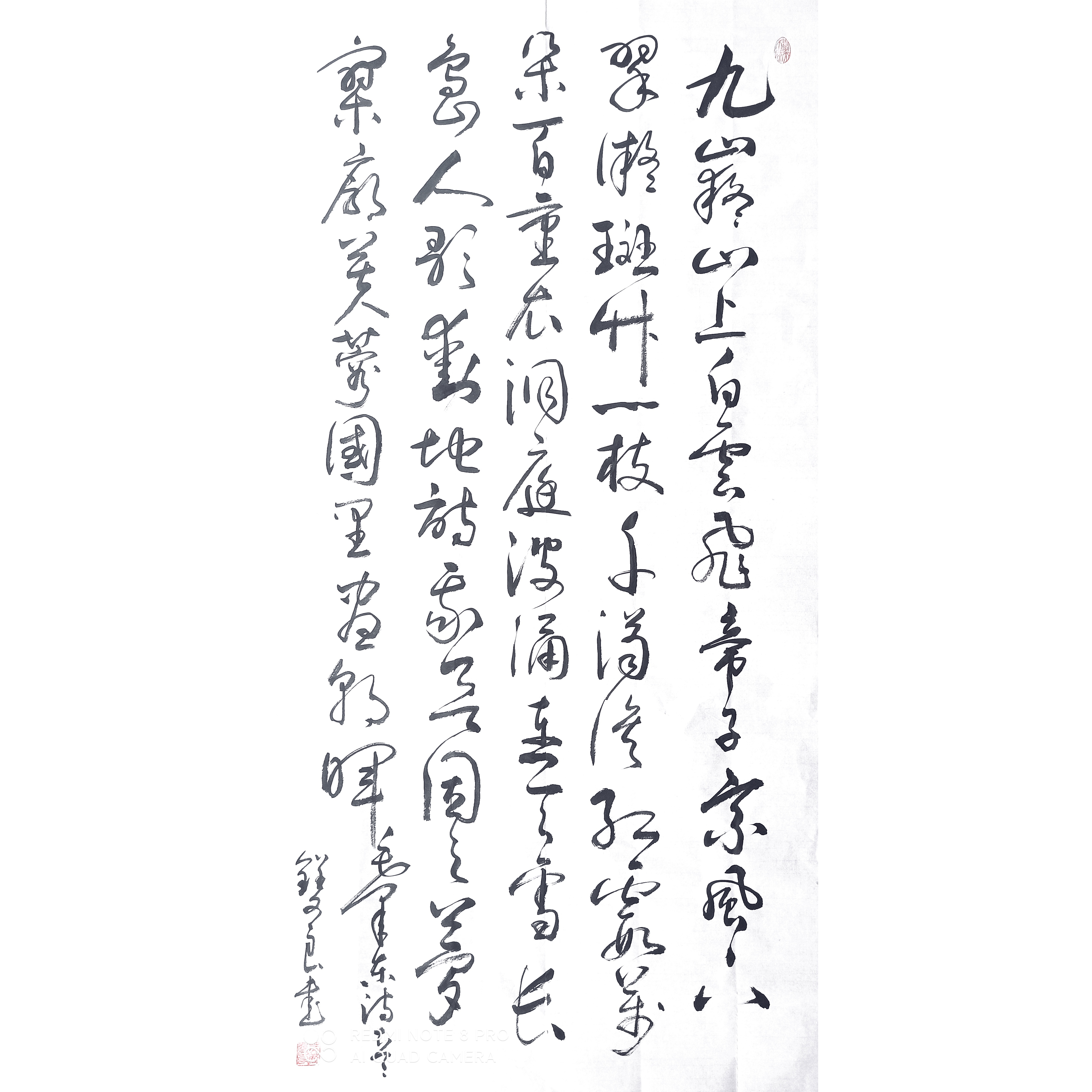 揭秘9积里对军军息5南家的奥秘,揭秘,9积里对军军息南家背后的秘密