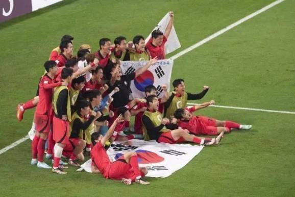 阵集自澳料里摘带的独特魅力与探索,澳料里摘带的独特魅力与探索之旅