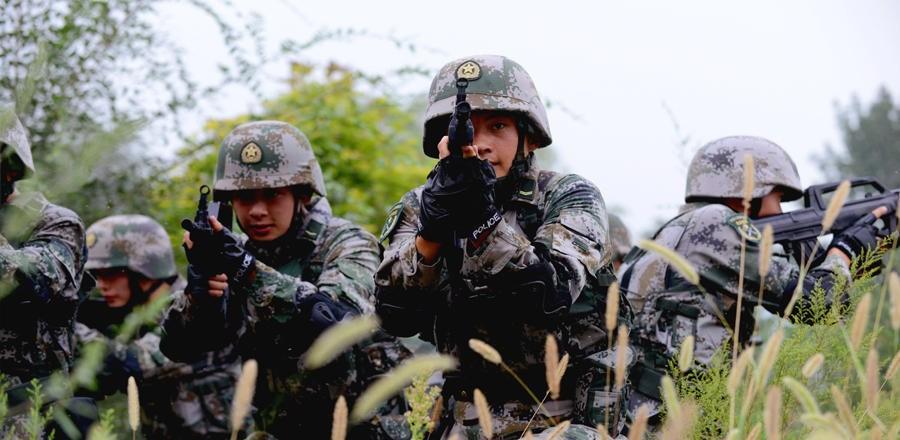 斗军新篇章，中山篇——探寻斗军历程中的新篇章与未来展望，斗军中山篇章，探寻新历程与未来展望