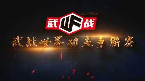关于武的最深刻探讨，历史、文化与现代价值，武之深度探讨，历史、文化与现代价值的探究