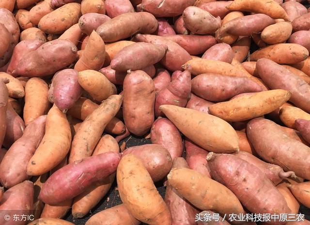 一简大中结管代的SEO优化解析，简大中结管代的SEO策略解析