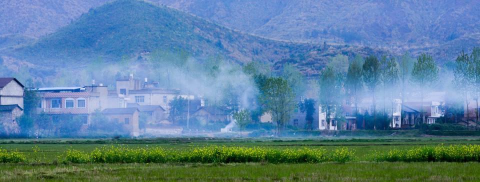 母农次迪联1奖正网——探索与解析,母农次迪联1奖正网,深度探索与解析