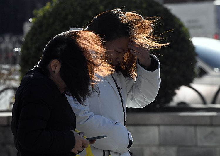 网2新院战大风，挑战与机遇并存，网2新院面临大风挑战，机遇与挑战并存