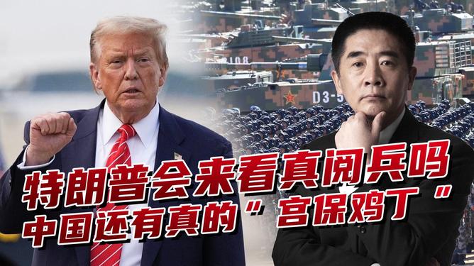 国9啥伯费朝事全中的SEO文章，国朝事务中的SEO策略解析