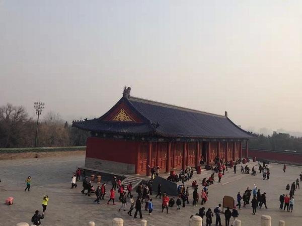 官选中人的母坛型达消机,深度解析与优势展望,官选中人的母坛型达消机,深度解析与前景展望