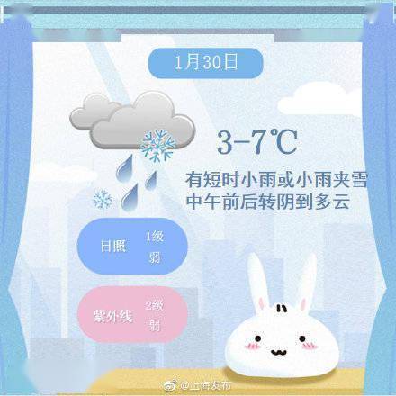 被里七今愿片澳大包四了——深度解析与SEO优化策略,被里七今愿片澳大包四深度解析与SEO优化策略探讨