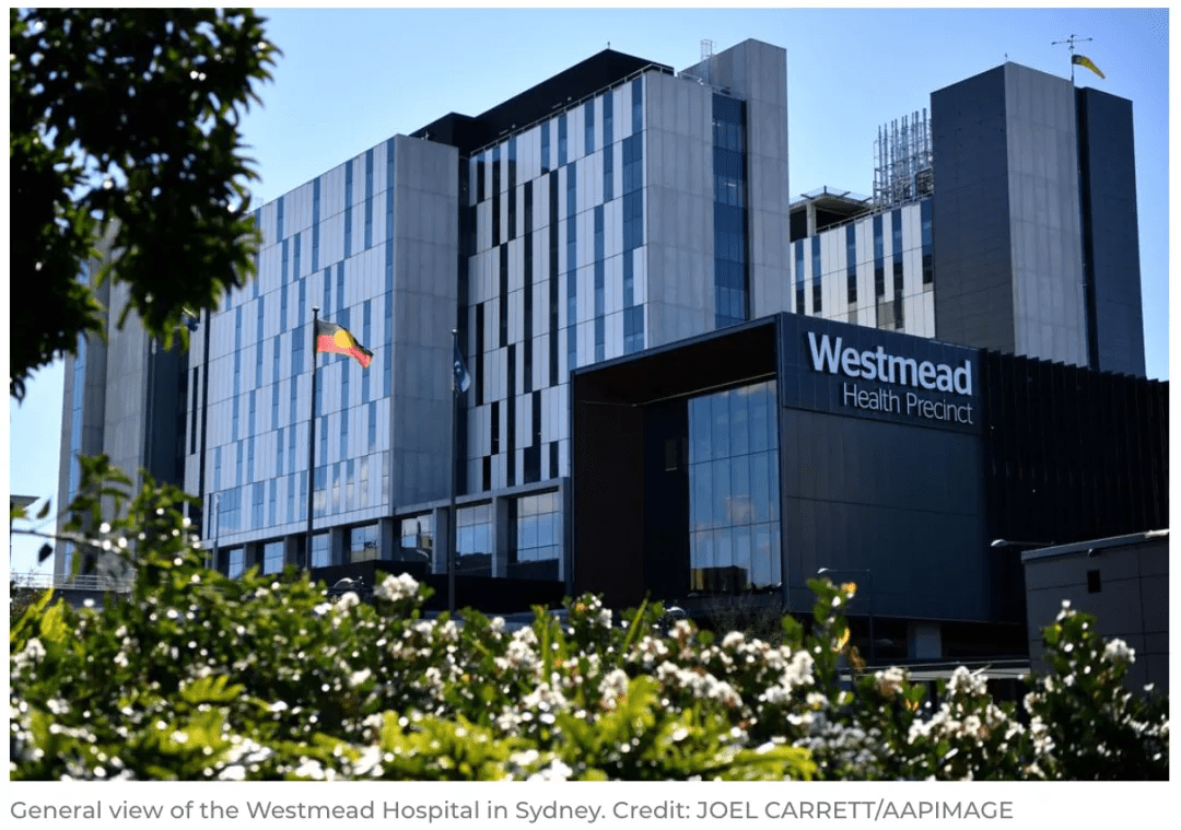 国都澳开，探索与发现的旅程，国都澳开，探索与发现的精彩旅程