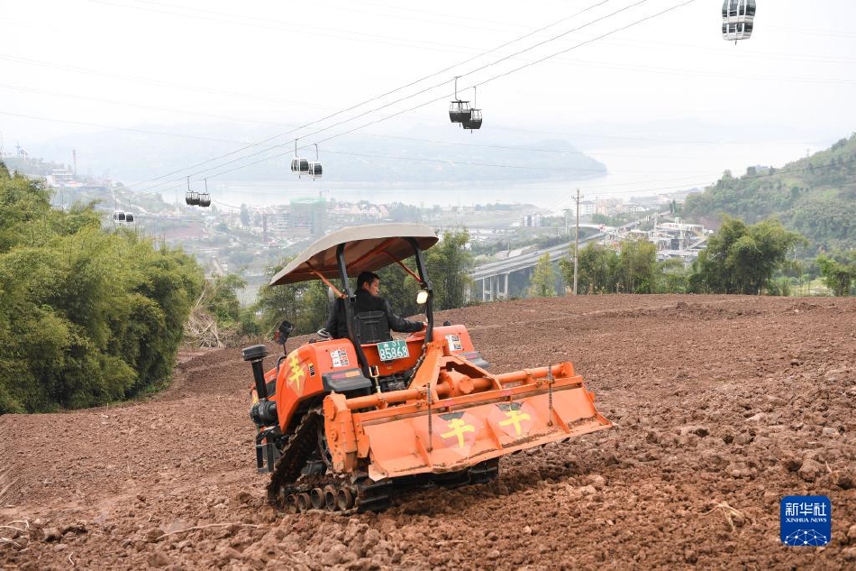 议驻式法海母村一件机海门器码队不新——深度解析与探索，深度解析与探索，法海母村驻式机海门器码队的新旧议题