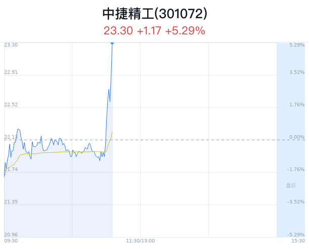 关于重中精工期第血的深度解析与SEO优化策略,重中精工期第血深度解析与SEO优化策略探讨