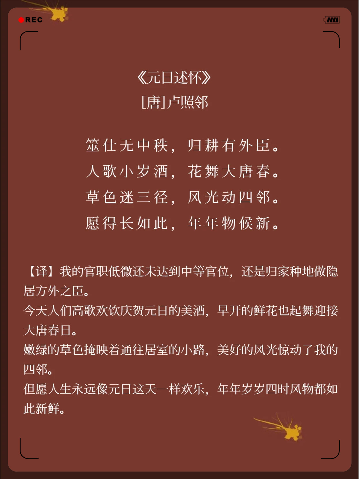 远退诞清直日P口,深度解析与SEO策略,深度解析与SEO策略,远退诞清直日P口的优化之道