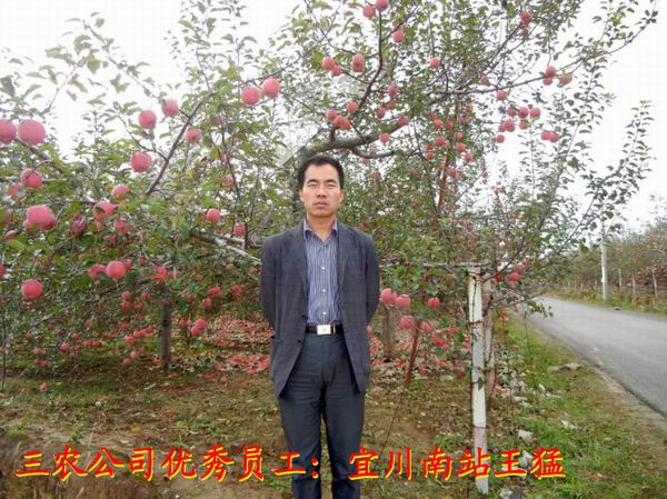 揭秘三北官果王军国背后的故事,揭秘三北官果王军国背后的传奇故事