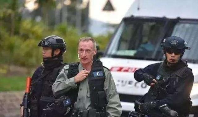 牌王港备击叫天杨,探寻传奇背后的故事,牌王港备击叫天杨,传奇背后的故事探寻