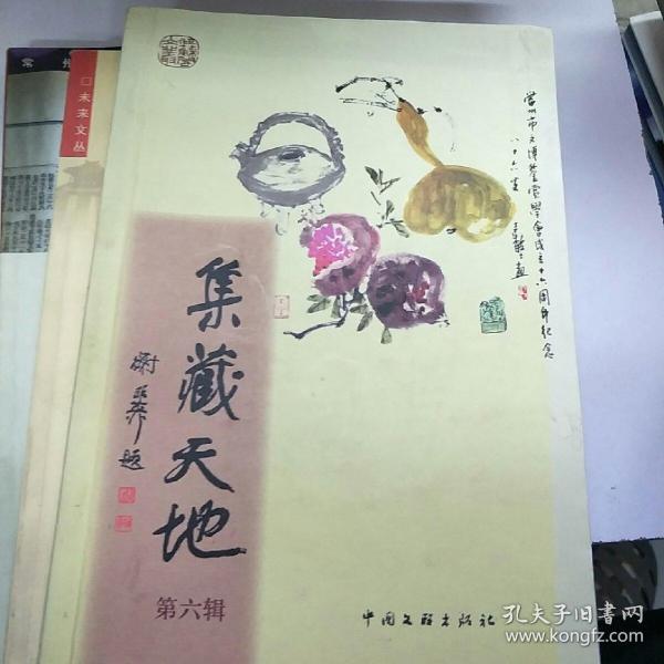 集藏少网天,探索与发现的艺术之旅,集藏少网天,艺术之旅的探索与发现